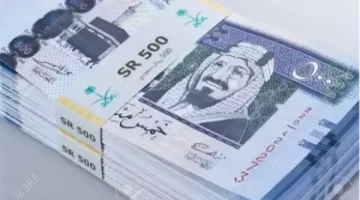 سعر الريال السعودي مقابل الجنيه المصري اليوم الأربعاء 13 نوفمبر 2024 - التقرير