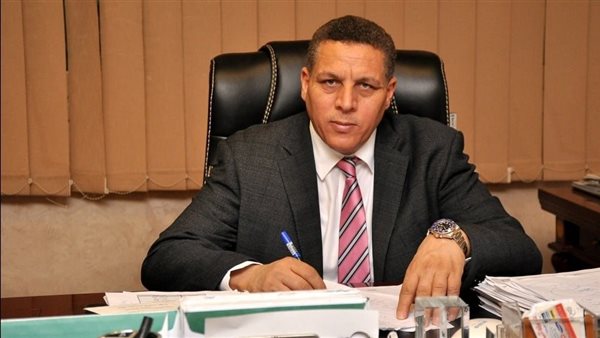 أحمد محسن: رفع تصنيف مصر الائتماني يؤكد سلامة مسارها الاقتصادي وقوتها المالية والنقدية – التقرير