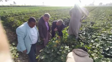 «الزراعة» تحذر من ظهور آفات وأمراض فطرية على المحاصيل بعد سقوط الأمطار - التقرير