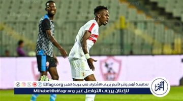 الزمالك ينتظر رد إبراهيما نداي على عرض تقسيط مستحقاته المتأخرة - التقرير