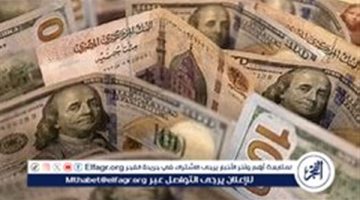 استقرار سعر الدولار أمام الجنيه المصري اليوم الخميس 7 نوفمبر 2024: العوامل والتوقعات المستقبلية - التقرير