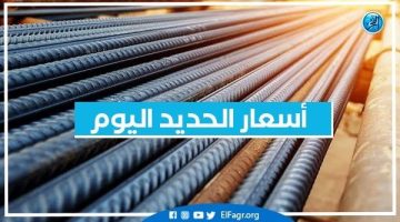 أسعار الحديد اليوم الخميس 7-11-2024 في محافظة البحيرة - التقرير