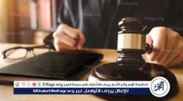 استثمار مزيف.. قرار من المحكمة ضد عصابة النصب على المواطنين بمصر الجديدة - التقرير