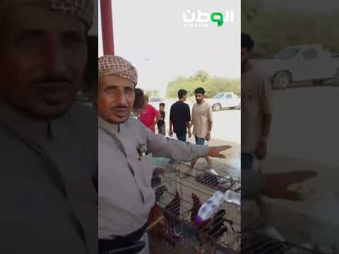 كرنفالات أسبوعية بأسواق الطيور – جريدة الوطن السعودية – التقرير