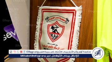 أشكر الزمالك على تلبيه الدعوة - التقرير