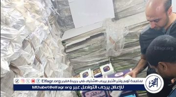 محافظ الدقهلية:إعدام 14طن أغذية متنوعة غير صالحة للاستهلاك الآدمي - التقرير