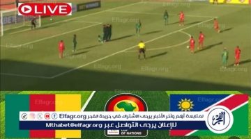 مشاهدة بث مباشر مباراة ناميبيا ضد الكاميرون، يلا شوت في تصفيات كأس أمم إفريقيا - التقرير