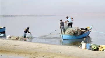 بحيرة قارون تعود للحياة .. الصيادون يوجهون رسالة شكر للرئيس السيسي (خاص) - التقرير