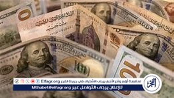 سعر الدولار أمام الجنيه المصري اليوم الثلاثاء 12 نوفمبر 2024 بعد انخفاض طفيف بالأمس – التقرير