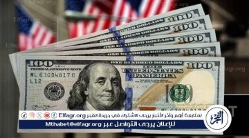 "رايح على فين؟".. سعر الدولار الأمريكي في السوق السوداء والبنوك المصرية اليوم الاثنين 11/11/2024 - التقرير