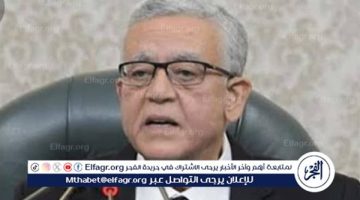 مشروع قانون الإجراءات الجنائية: تعزيز الحقوق والحريات في مصر الجلسة العامة لمجلس النواب - التقرير