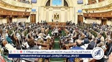 مجلس النواب يناقش مشروع قانون الإجراءات الجنائية الجديد: أهم الملامح والتعديلات - التقرير