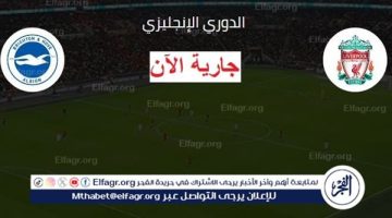 بث مباشر ليفربول ضد برايتون دون تقطيع يلا شوت الآن في الدوري الإنجليزي - التقرير