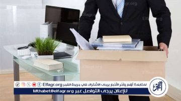 متى يجوز للأجنبي العمل داخل مصر وفقًا للقانون؟ (تفاصيل) - التقرير