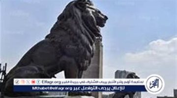 عمرو أديب يعلق على جدل تنظيف وتطوير أسدين قصر النيل: "العبقرية في التفاصيل" - التقرير