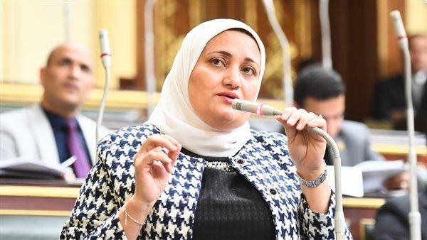 “تشكك في شرف بناتنا”.. أول تحرك برلماني ضد فيديو طبيبة أمراض النساء وسام شعيب – التقرير