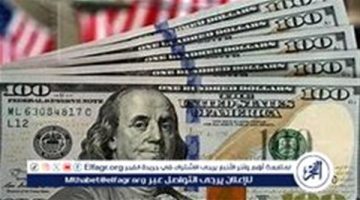 استقرار سعر الدولار مقابل الجنيه المصري اليوم السبت 2 نوفمبر 2024 في العطلة الأسبوعية للبنوك - التقرير