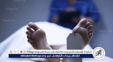 مصرع طالب صعقا بالكهرباء بمركز جزيرة شندويل بسوهاج - التقرير