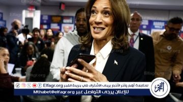 انتخابات أمريكا 2024.. هاريس تفوز بـ4 ولايات - التقرير