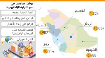 10% نموا بسجلات التجارة الإلكترونية - التقرير