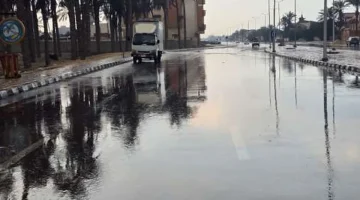 «مناخ الزراعة» أمطار غزيرة منتصف الأسبوع.. وتوصيات لحماية الزراعات الشتوية - التقرير