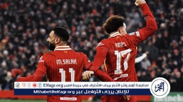 نتيجة وملخص أهداف مباراة ليفربول ضد ليل في دوري أبطال أوروبا - التقرير