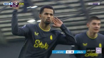 هدف فوز ايفرتون علي برايتون (1-0) الدوري الانجليزي - التقرير