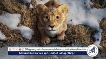 The Lion King" يواصل زئيره في شباك التذاكر ويقترب من 600 مليون دولار عالميًا - التقرير