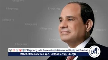 رسالة تحذيرية من الرئيس السيسي لهؤلاء - التقرير