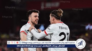 موعد مباراة ليفربول وليل في دوري أبطال أوروبا والقنوات الناقلة - التقرير