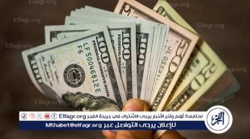 سعر الدولار أمام الجنيه المصري في تعاملات اليوم الخميس 16-1-2025 بالبنك المركزي - التقرير