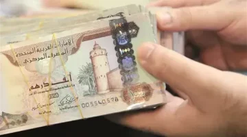 سعر الدرهم الإماراتي مقابل الجنيه المصري اليوم الخميس 23 يناير 2025 - التقرير