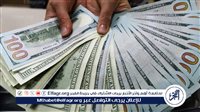 ارتفاع طفيف في أسعار صرف الدولار الأمريكي مقابل الجنيه المصري اليوم - التقرير