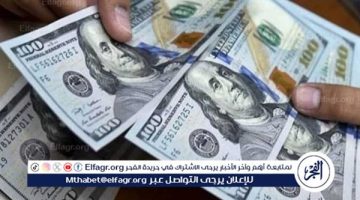 أسعار الدولار والعملات اليوم الخميس 23 يناير 2025 في البنوك المصرية - التقرير