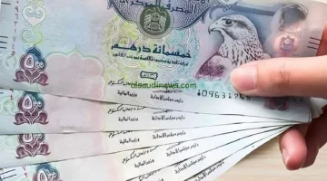 سعر الدرهم الإماراتي أمام الجنيه اليوم الخميس 16-1-2025 في البنوك - التقرير