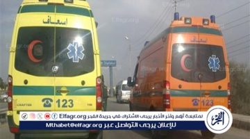 "كان بيعدي الطريق".. إحالة سائق للمحاكمة الجنائية في حادث دهس طفل - التقرير