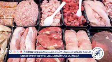 أسعار اللحوم اليوم السبت 25-1-2024 في الأسواق ومحال الجزارة بقنا - التقرير